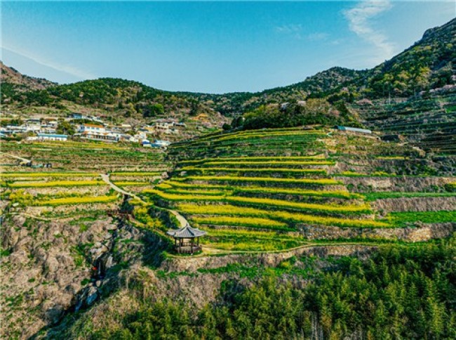 남해 가천 다랭이마을·남해바래길 27개 코스 '로컬100' 선정…우수 문화 명소 입증